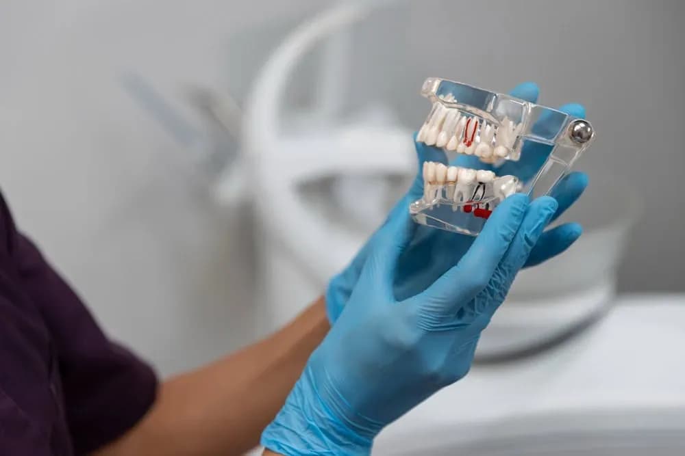 Affordable Family Dental Care at Neola Dental
